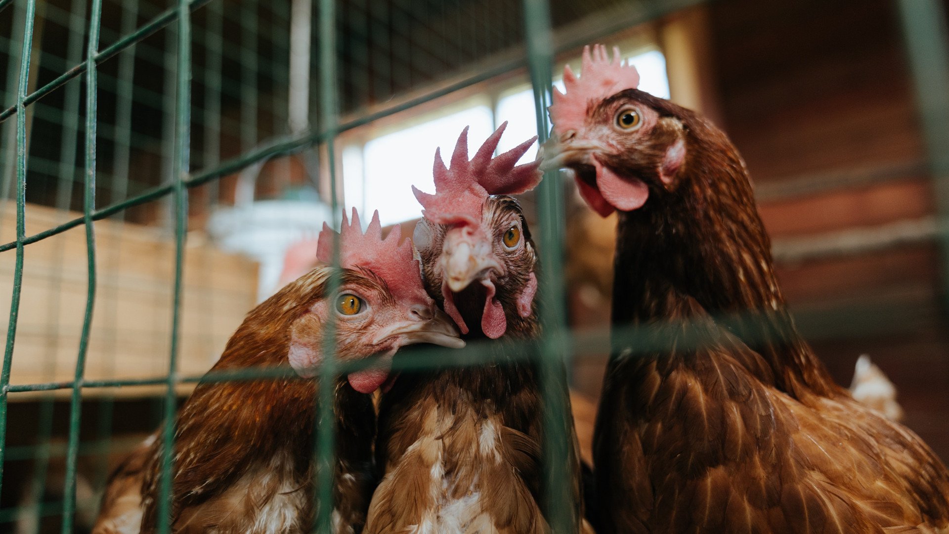 不待见？他用最无情的方式打脸所有人