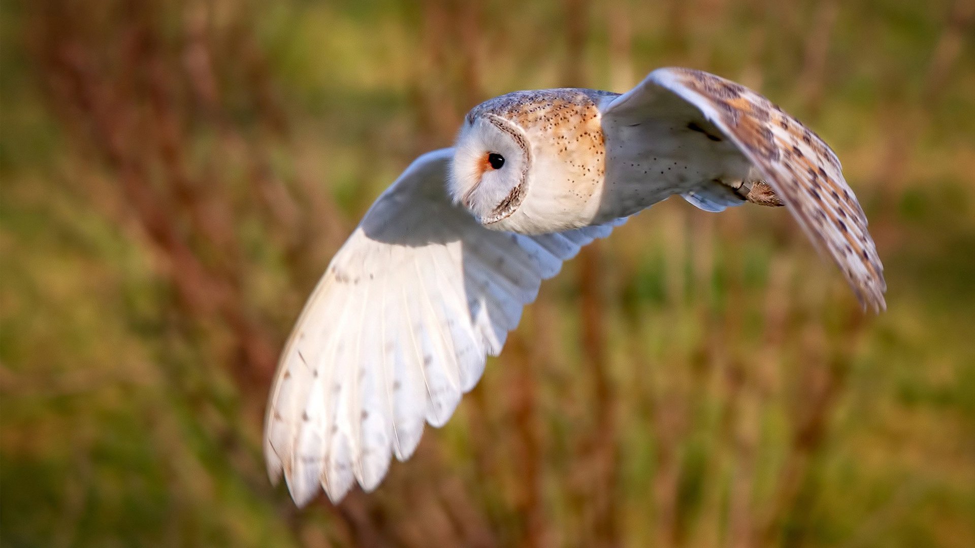 不待见？他用最无情的方式打脸所有人