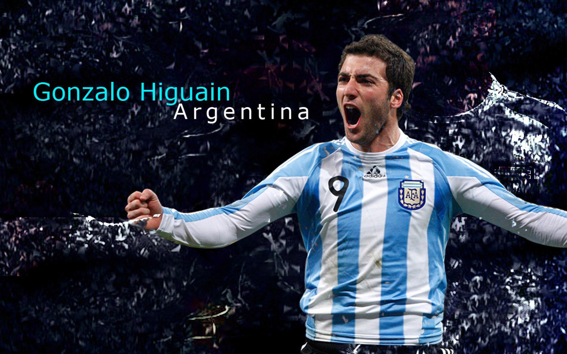 灰熊苏醒，上海迷雾，一节的胜利，揭示什么样的现实？